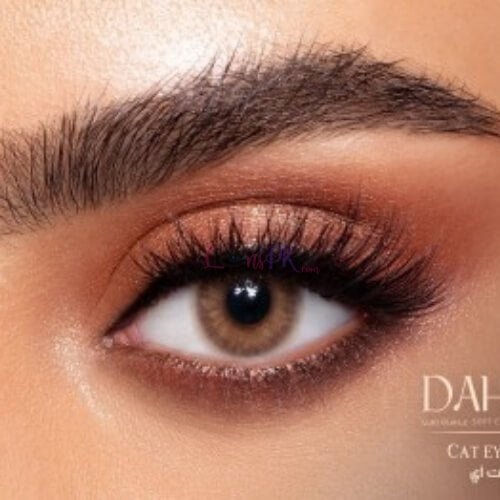 Cateye