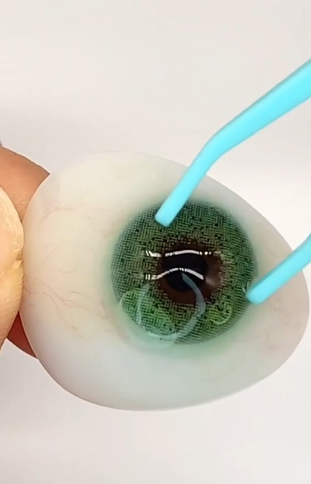 BUY 1 GET 2 FREE♥️ OCEAN GREEN+OCEAN GREY+OCEAN BROWN